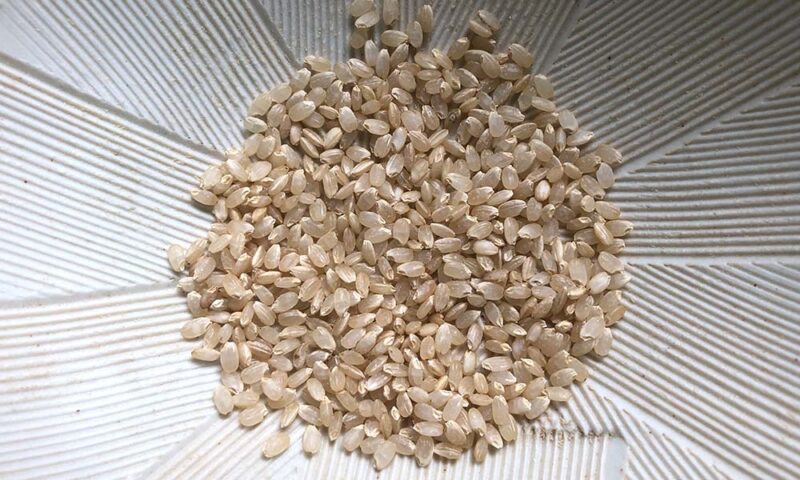 もみすり玄米